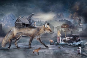 Shelter - Spirit of the Fox by Marcin Owczarek | Photography - Dye Sublimation on Aluminum featuring a fox with a house and landscape.