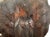 Mid 20th Century Balinese Macassar Ebony Bust For Sale - Image 10 of 12