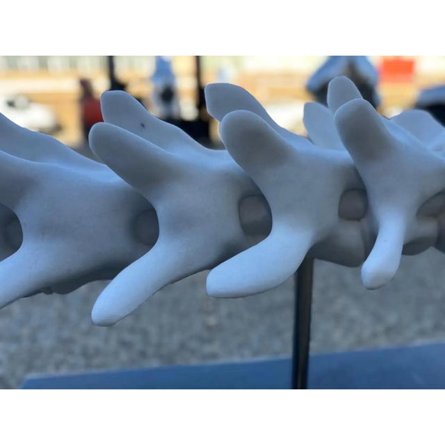Hand-Carved Marble Vertebrae Sculpture on Marble Base For Sale - Image 4 of 16