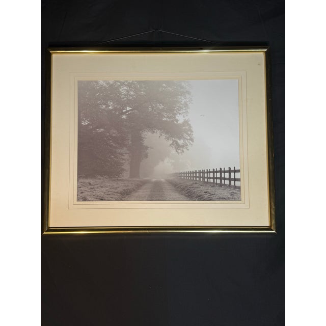 Elegant black and white landscape photograph featuring a misty country road lined with a wooden fence and large trees. The...