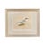 19th Century English Bird Engravings by Alexander Francis Lydon, Set 12 For Sale - Image 12 of 18