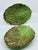 Traditional Vintage Majolica Italian Cabbage Leaf Small Platers - A Pair For Sale - Image 3 of 8