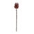 Rustic Burgandy Protea Stem (Set of 6) For Sale - Image 3 of 3