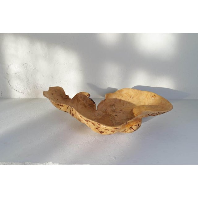 Brown Large Swedish Folk Art Burl Curly Birch Bowl, 1980s For Sale - Image 8 of 16