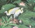 Realism Painting of a Lotus Pond With Birds by W. Kuparyadi For Sale - Image 3 of 8