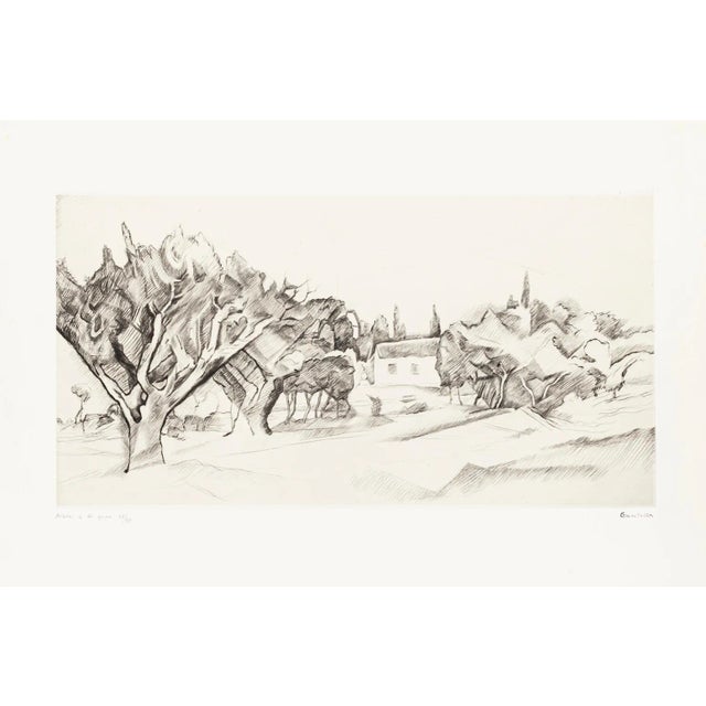 Trees in Grignon - Original Etching on Paper by P. Guastalla - Mid 20th Century Mid 20th Century For Sale