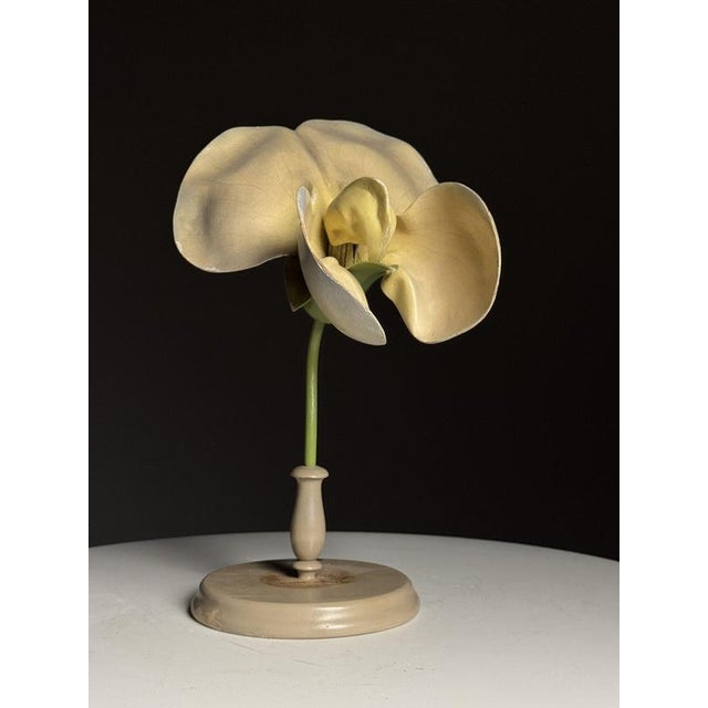German Botanical Flower Model, 1900 For Sale - Image 4 of 18