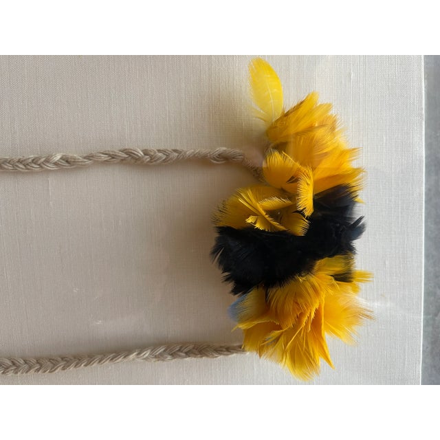 Vintage Mid-Century Urubu-Ka’apor Feather Armbands in Museum Acrylic Case For Sale In Las Vegas - Image 6 of 12