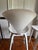 Mid-Century Modern Pair of Authentic Cherner Chair Company White Counter Stools — Sold as-Is For Sale - Image 3 of 8