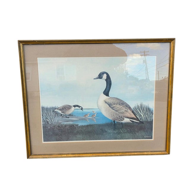 19th Century Beautiful Decorative Painting of Goose Family/ Wood Frame and Glass Cover. For Sale In Philadelphia - Image 6 of 14