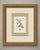 Hummingbirds print after Descourtilz, Estampa 24 in the 1944 Ornitologia Brasileira, a limited Brazilian edition of Jean-...