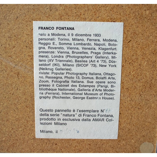 Metal Vintage Italian Natura Print by Franco Fontana for AMAR collezioni Milano, 1976 For Sale - Image 7 of 8