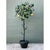 Late 20th Century Vintage Italian Painted Metal Lemon Tree For Sale - Image 5 of 12