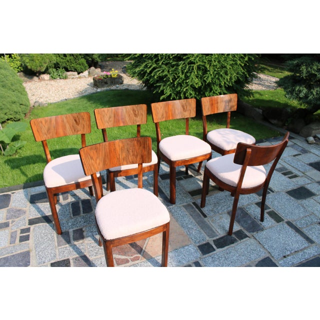 1950s Vintage Chairs, 1956, Set of 6 For Sale - Image 5 of 9