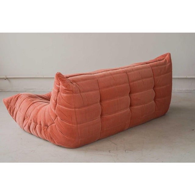 Coral Corduroy Togo Three-Seat Sofa by Michel Ducaroy for Ligne Roset For Sale - Image 5 of 12