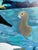 Paint “Nosey Neighbors” a Swan Painting by LWren Walraven For Sale - Image 7 of 14