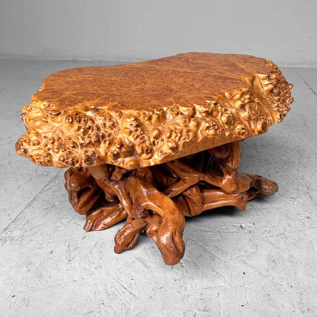 Mid-Century Yakusugi (Yakusugi) Burl Wood Plant Stand, Japan, 1940s For Sale - Image 6 of 14