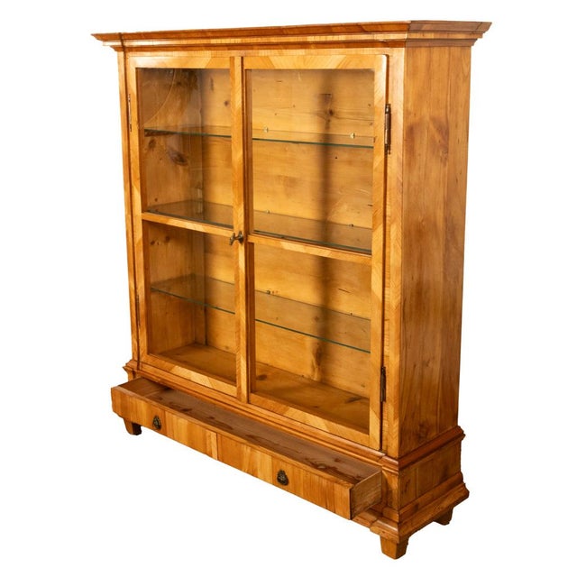 Antique Austrian Cherry Wood Biedermeier Display Library Cabinet Bookcase 1840 For Sale - Image 11 of 12