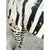 Vintage Life Size Baby Zebra For Sale - Image 9 of 15