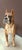 Boxer Figurine from Vaga Internacional, 1970 For Sale - Image 9 of 9