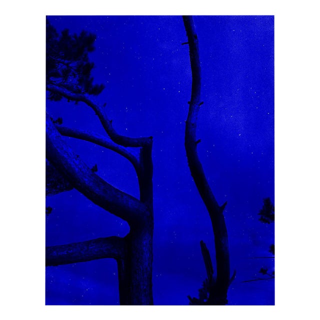 Ugne Pouwell, Ultramarine Night, 2022, Photography For Sale