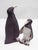 Penguins, 1960s, Set of 2 For Sale - Image 12 of 13