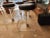 Mid-Century Modern 1980s Set of 4 Mid Century Modern Lucite Bar Stools For Sale - Image 3 of 8