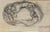 Luigi Galli, Anatomical Studies, 19th Century, Pencil on Paper For Sale - Image 3 of 3