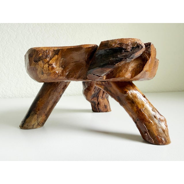 Vintage Olive Root Pedestal Riser For Sale - Image 4 of 11