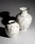 Floral Satin Porcelain Vase Duo – Fritz von Stockmayer for Rosenthal, late 1940s An elegant pair of satin-glazed porcelain...