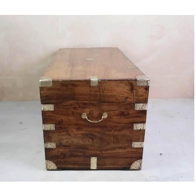 Brown Large Antique 19th Century Camphor Wood Trunk, Hong Kong, 1890s For Sale - Image 8 of 12