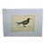Antique Hand Tinted Bird Print From England Featuring a Black Tern - Circa 1888 For Sale