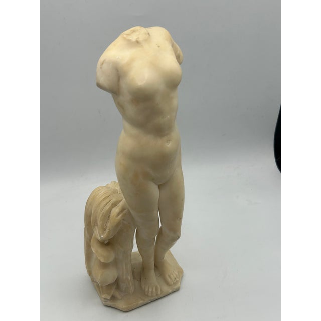 Early 20th-Century Grand Tour Italian Carved White Marble Statuette After the Venus of Cyrene For Sale - Image 13 of 18