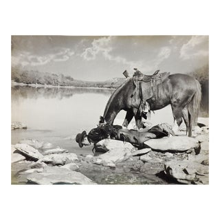 Vintage 1950s Cowboy & Horse Photograph For Sale