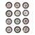 Coalport Porcelain Botanical Plates, Set of Twelve, John Rose For Sale