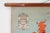 1950s Vintage School Wall Map of Europe 1815-1871, Belgium, 1950s For Sale - Image 5 of 11