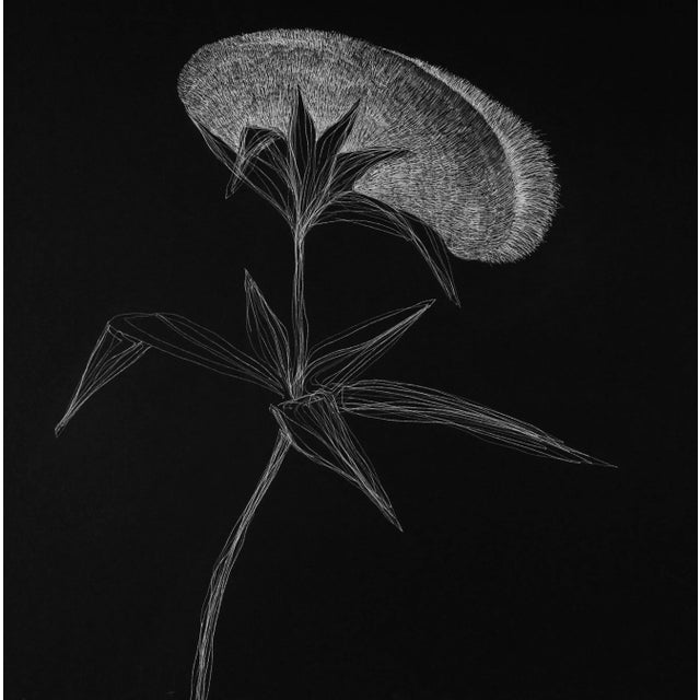 Early 21st Century Secret Garden 14 by Alina Aldea For Sale - Image 5 of 6