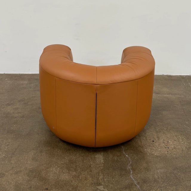 Animal Skin De Sede Ds-707 Canada Armchair For Sale - Image 7 of 9