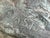 Metal Life Size Bronze Eagle For Sale - Image 7 of 11
