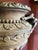 Large Antique Terracotta Vase Jardinière with Medusa Handle, 1600s For Sale - Image 17 of 18