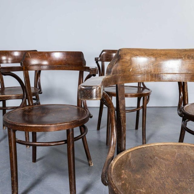 Large Vintage Open Back Bentwood Dining Armchair, 1960s For Sale - Image 3 of 11