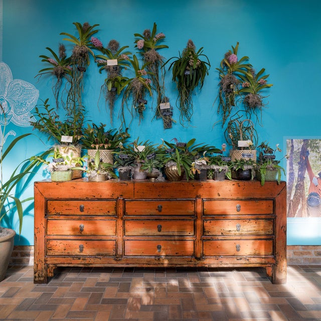 This 19th-century storage chest balances a streamlined silhouette with vibrant color and wabi-sabi textures. Originally...