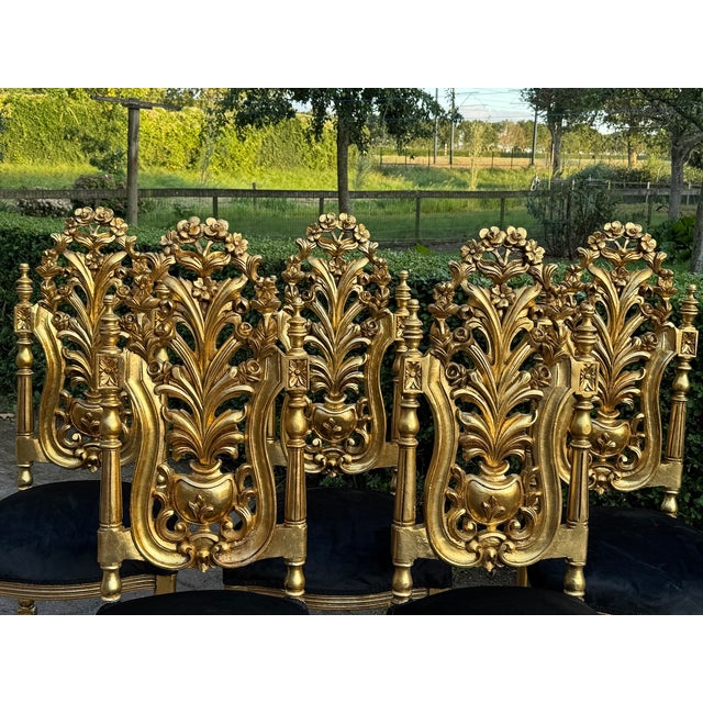 1900 - 1909 1900 Italian Rococo Gold Beech Black Velvet Dining Chairs - Set of 6 Pc For Sale - Image 5 of 18