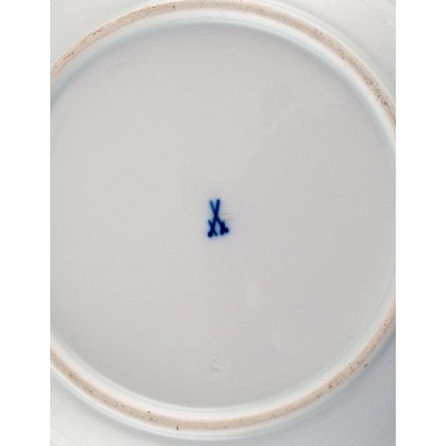 Antique and Meissen Porcelain Plate with Hand-Painted Birds and Insects For Sale - Image 4 of 5