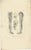 Anatomy Illustrations of Ligaments and Joints, 1839, Prints, Set of 13 For Sale - Image 11 of 15