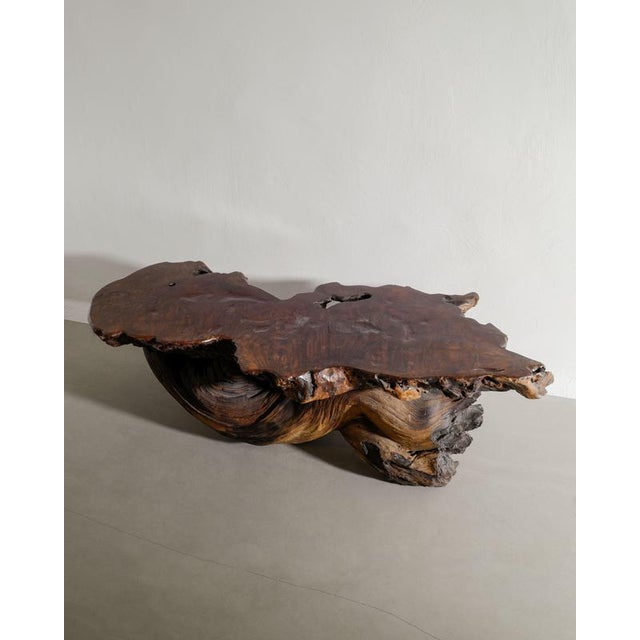 French Mid-Century Brutalist Wooden Sculptural Free Form Root Table, 1960s For Sale - Image 6 of 7