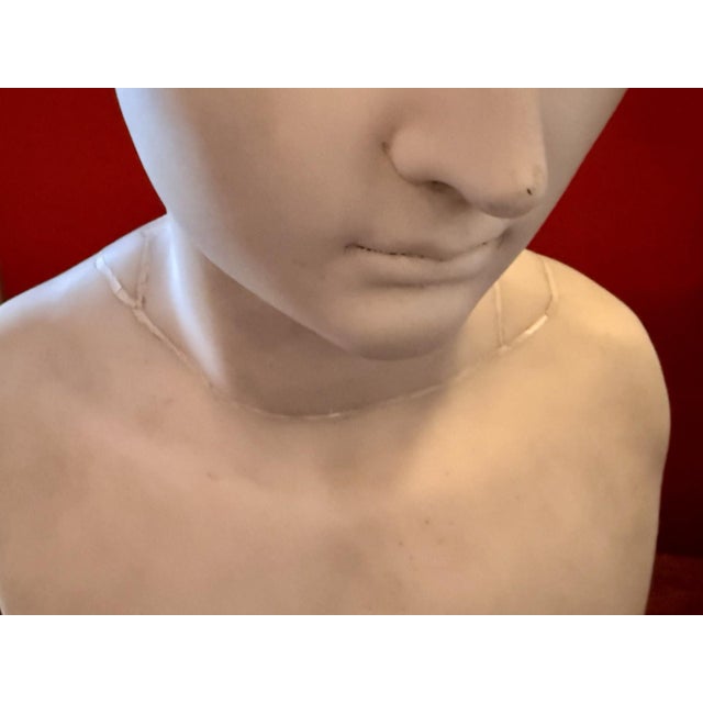 GRAND TOUR OCTAVIAN AUGUSTUS Antique 18th-19th C. Portrait Bust CARRARA MARBLE For Sale - Image 17 of 18
