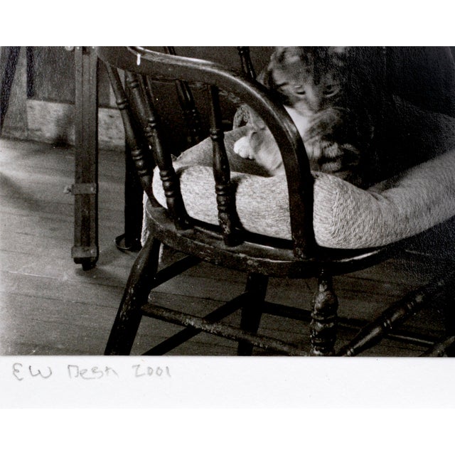 "Weston's Desk" Black and White Photograph Wild Cat Hill by Kim Weston 2001 For Sale In Monterey, CA - Image 6 of 6