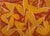 Contemporary Abstract Oil on Canvas "22av5p-2022" by Alain Clément For Sale - Image 4 of 4