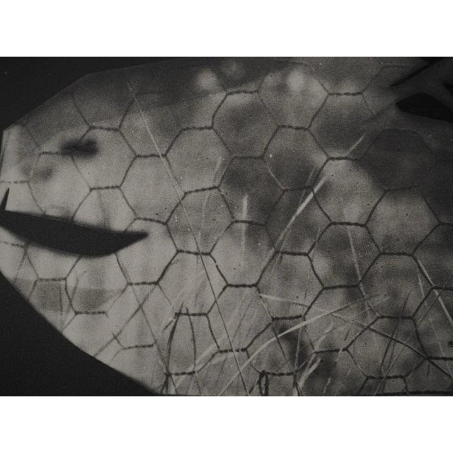 Pablo Picasso, Diurnal, The Goat at the Fence, Original Phototype For Sale - Image 5 of 6